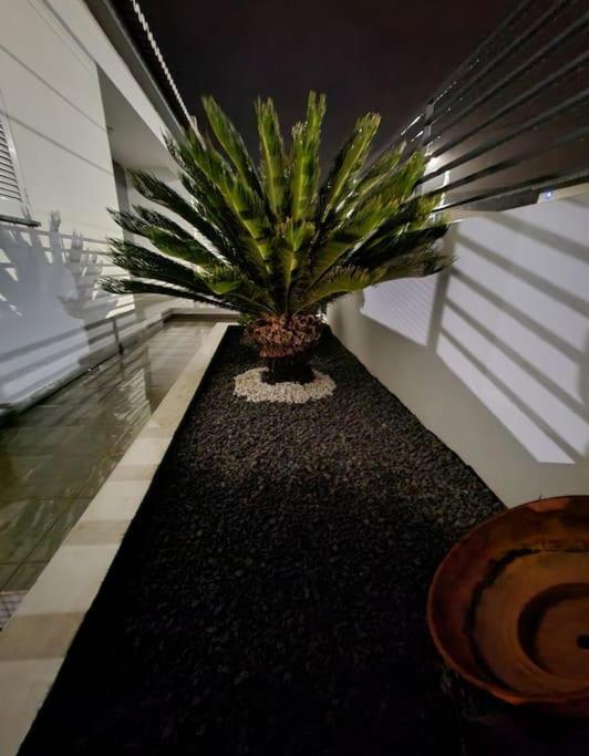 Vila Da Pesca House Rabo de Peixe Bagian luar foto